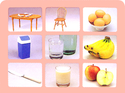 言語訓練写真カードセットⅡ(食物と家具)